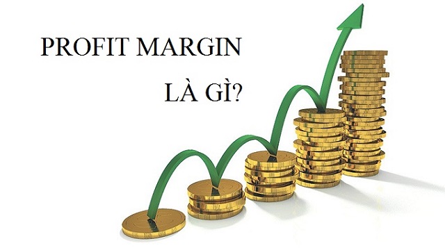 Ý nghĩa của Profit margin đối với doanh nghiệp - Ảnh 1